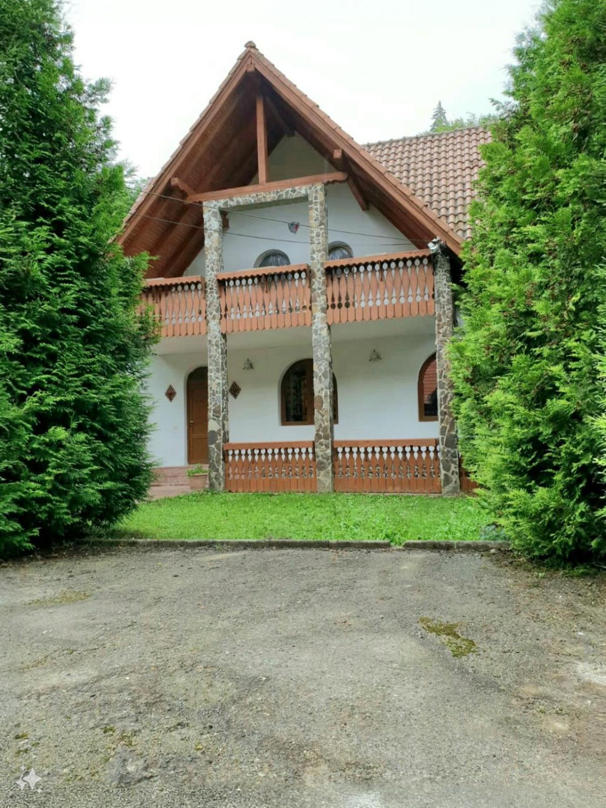 Vila Luca'S Cartisoara Exterior photo